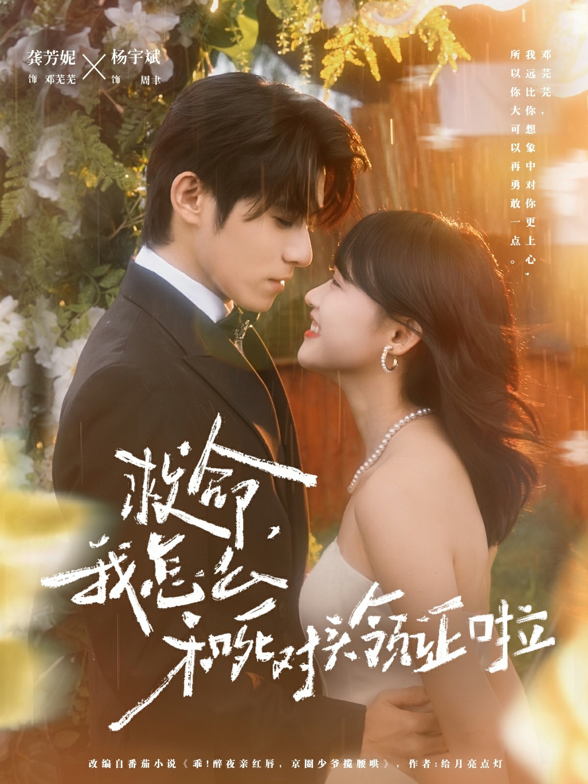 救命我怎么和死对头领证啦封面图