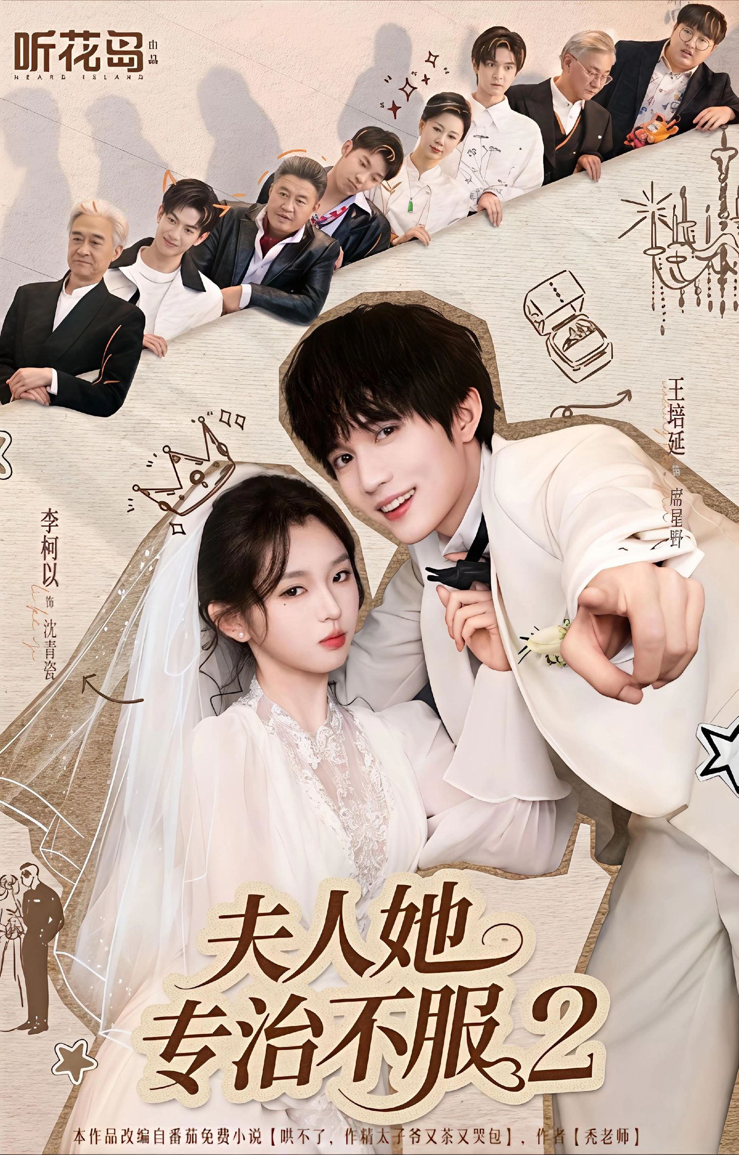 夫人她专治不服2封面图