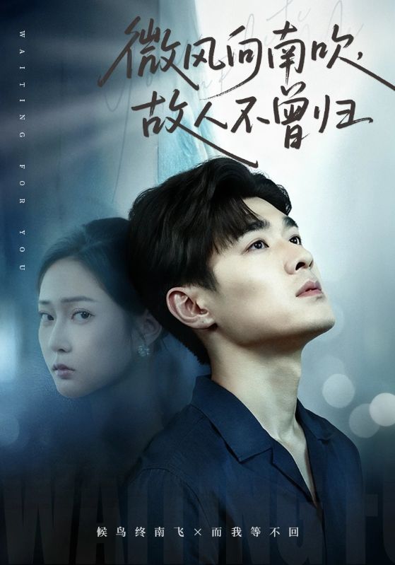 微风向南吹故人不曾归封面图