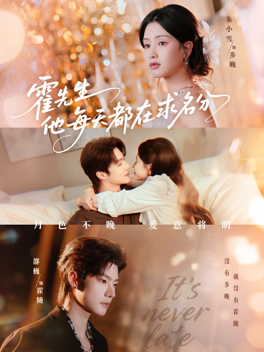 霍先生他每天都在求名分封面图