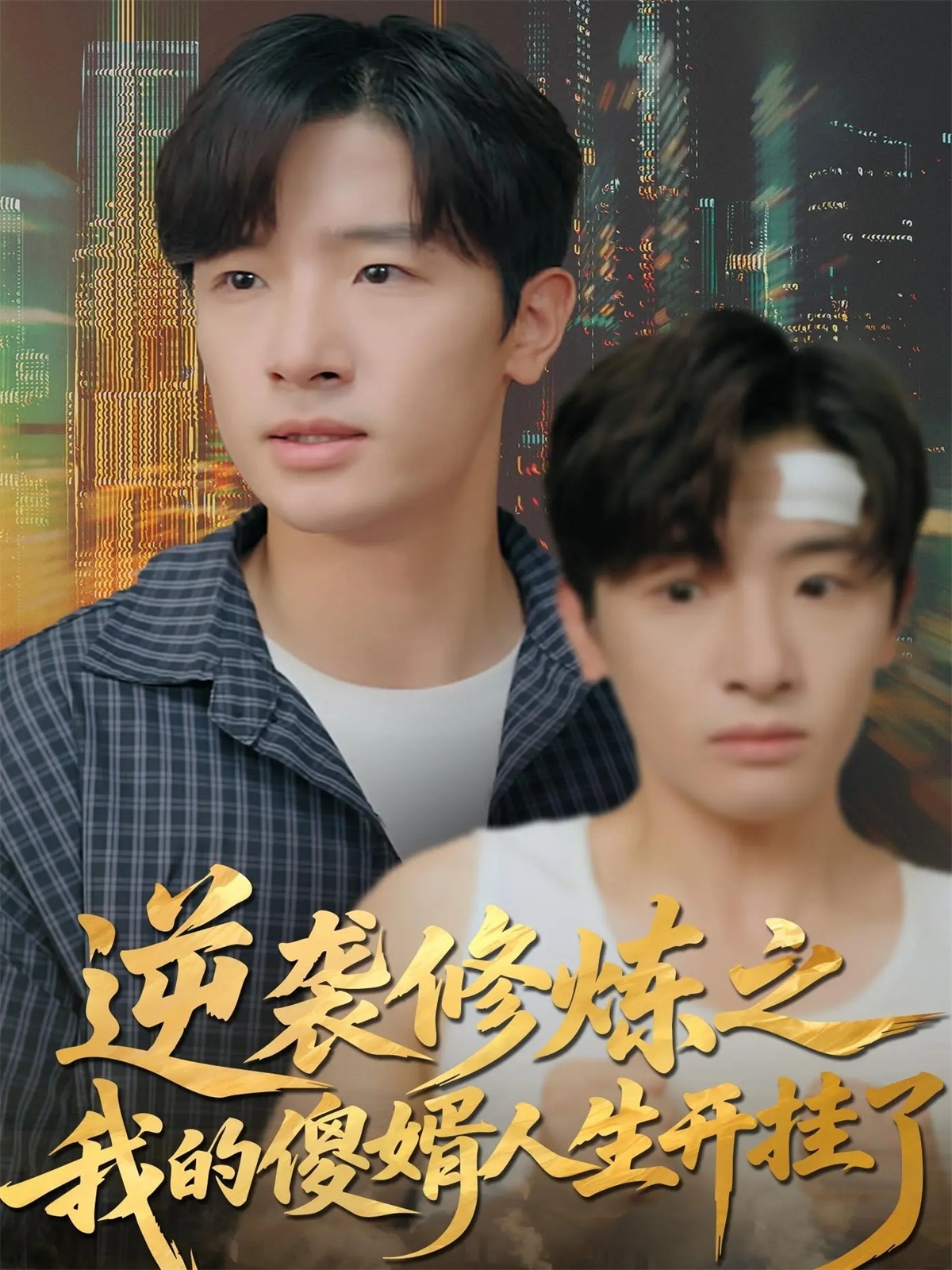 逆袭修炼之我的傻婿人生开挂了封面图