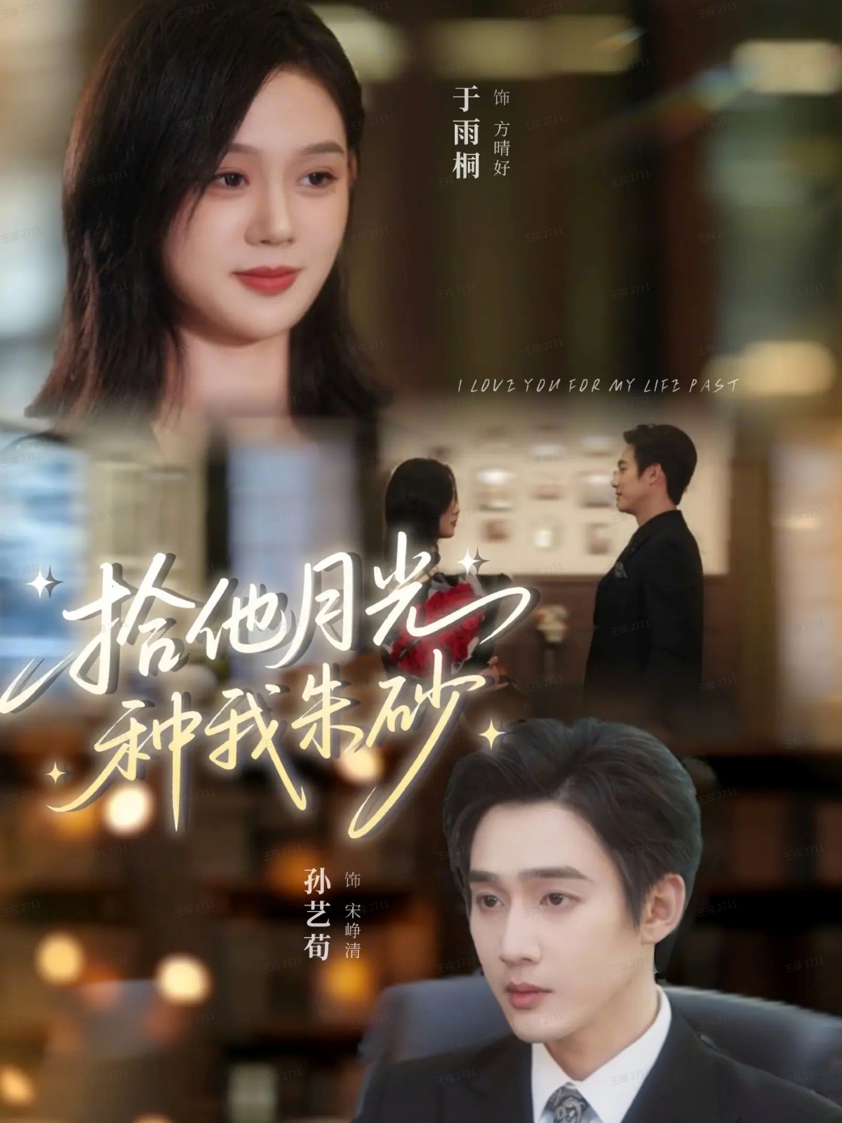 拾他月光种我朱砂封面图