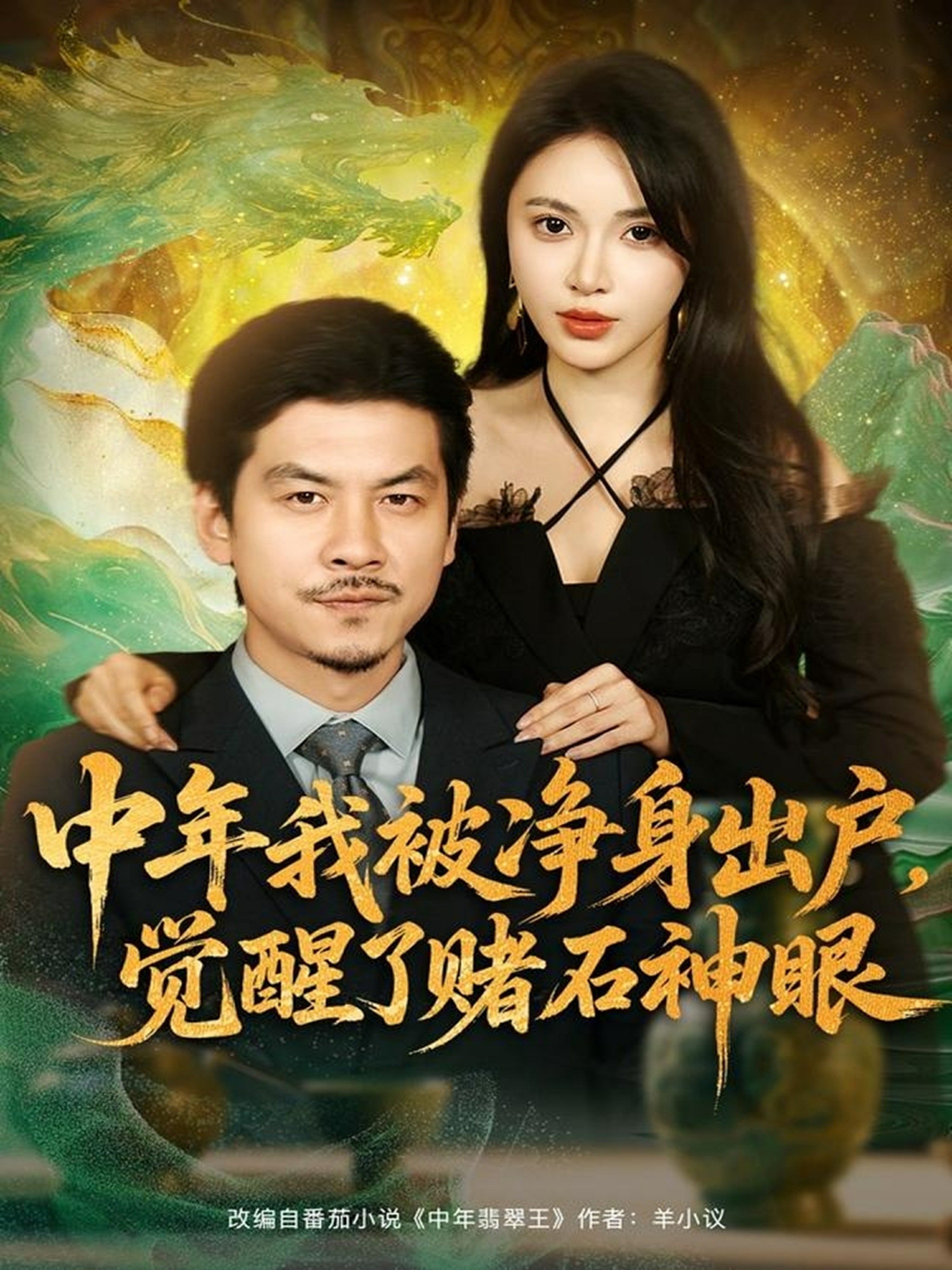 中年我被净身出户觉醒了赌石神眼封面图