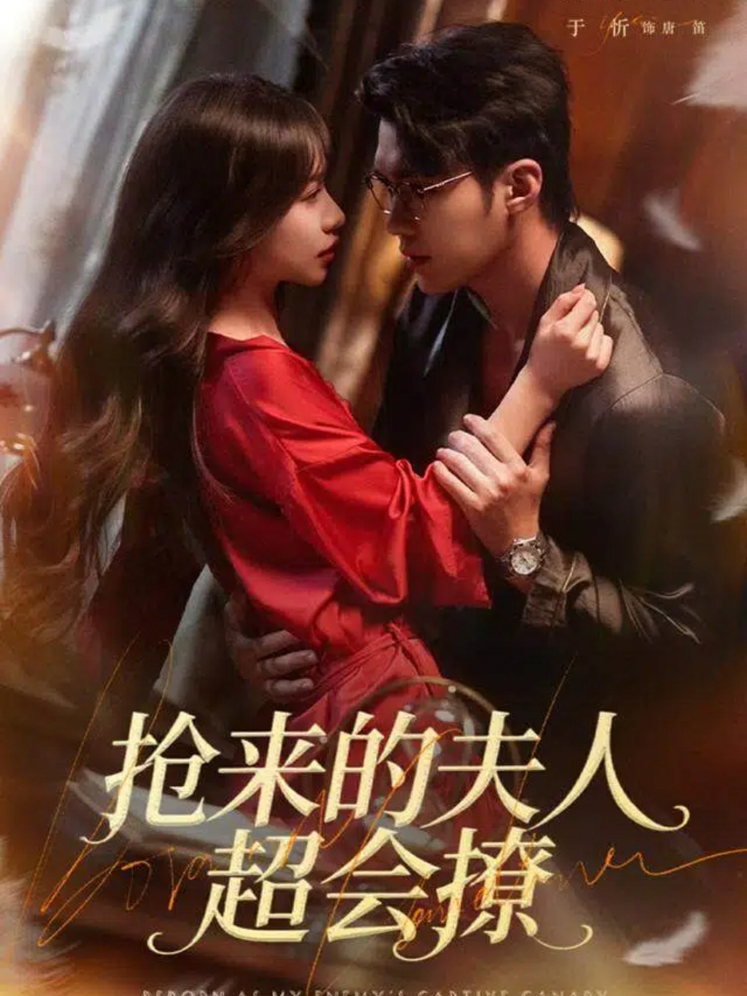 抢来的夫人超会撩封面图