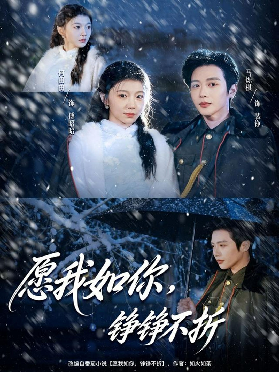 愿我如你铮铮不折封面图