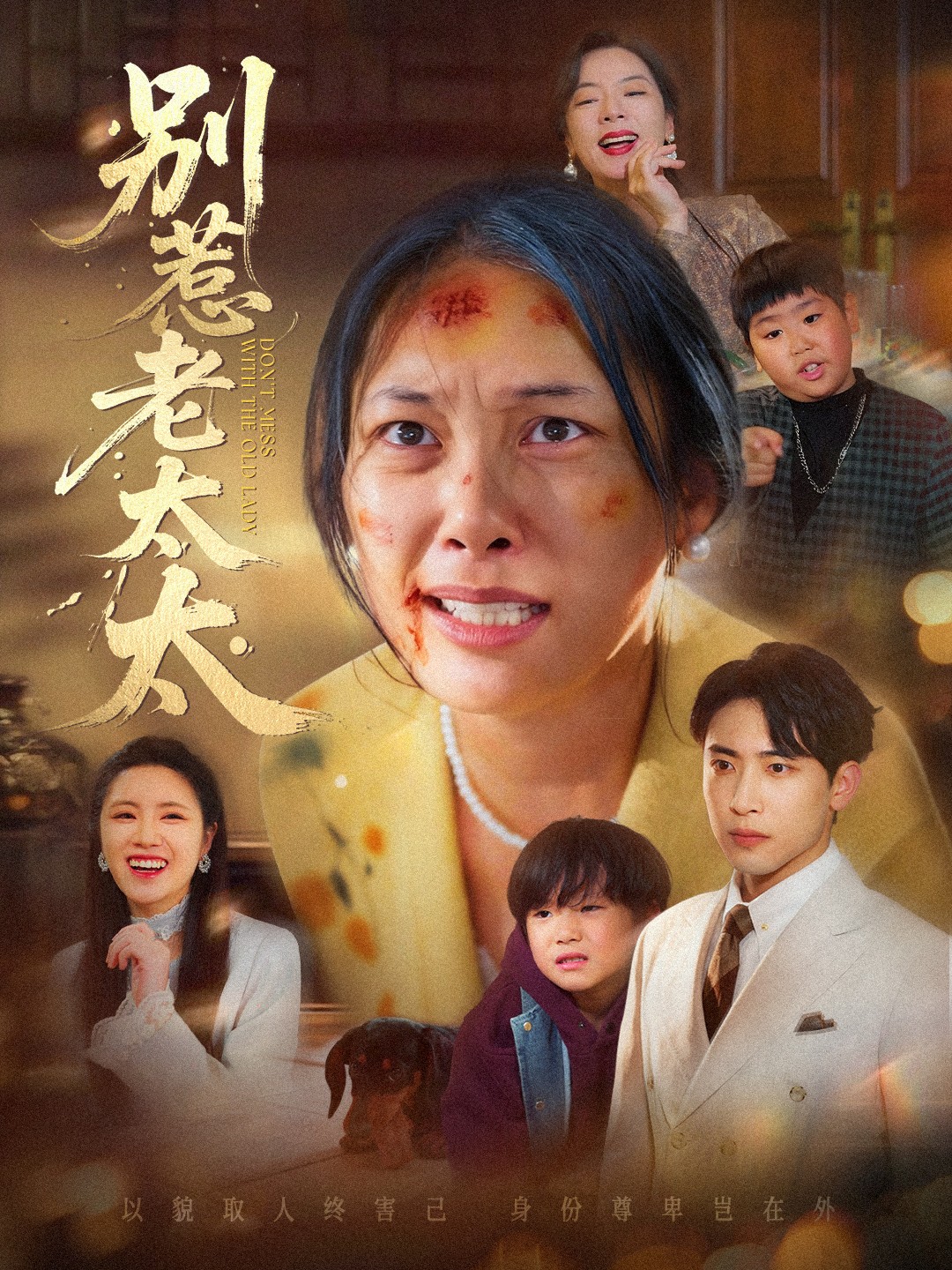 别惹老太太封面图