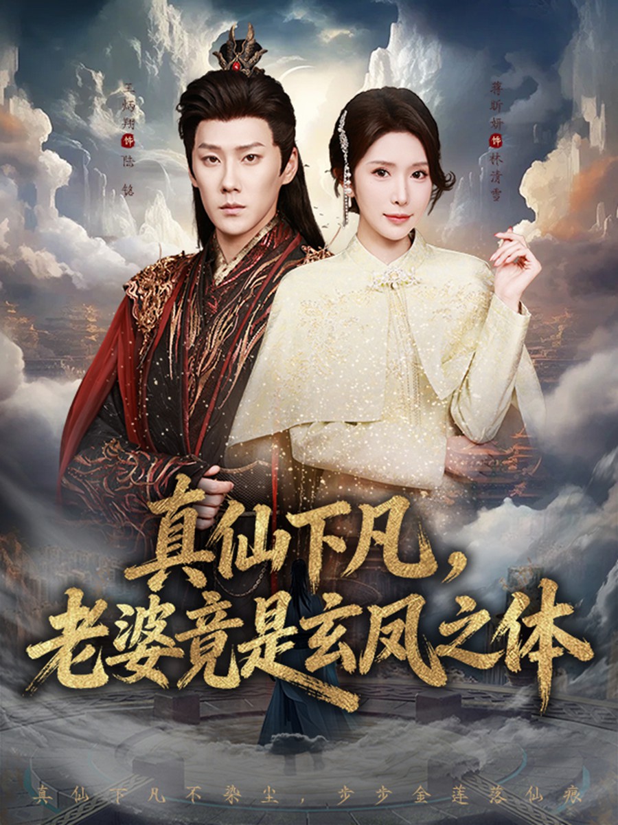 真仙下凡老婆竟是玄凤之体封面图