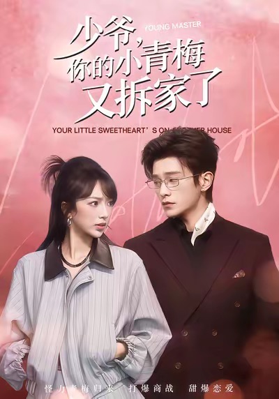 少爷你的小青梅又拆家了封面图