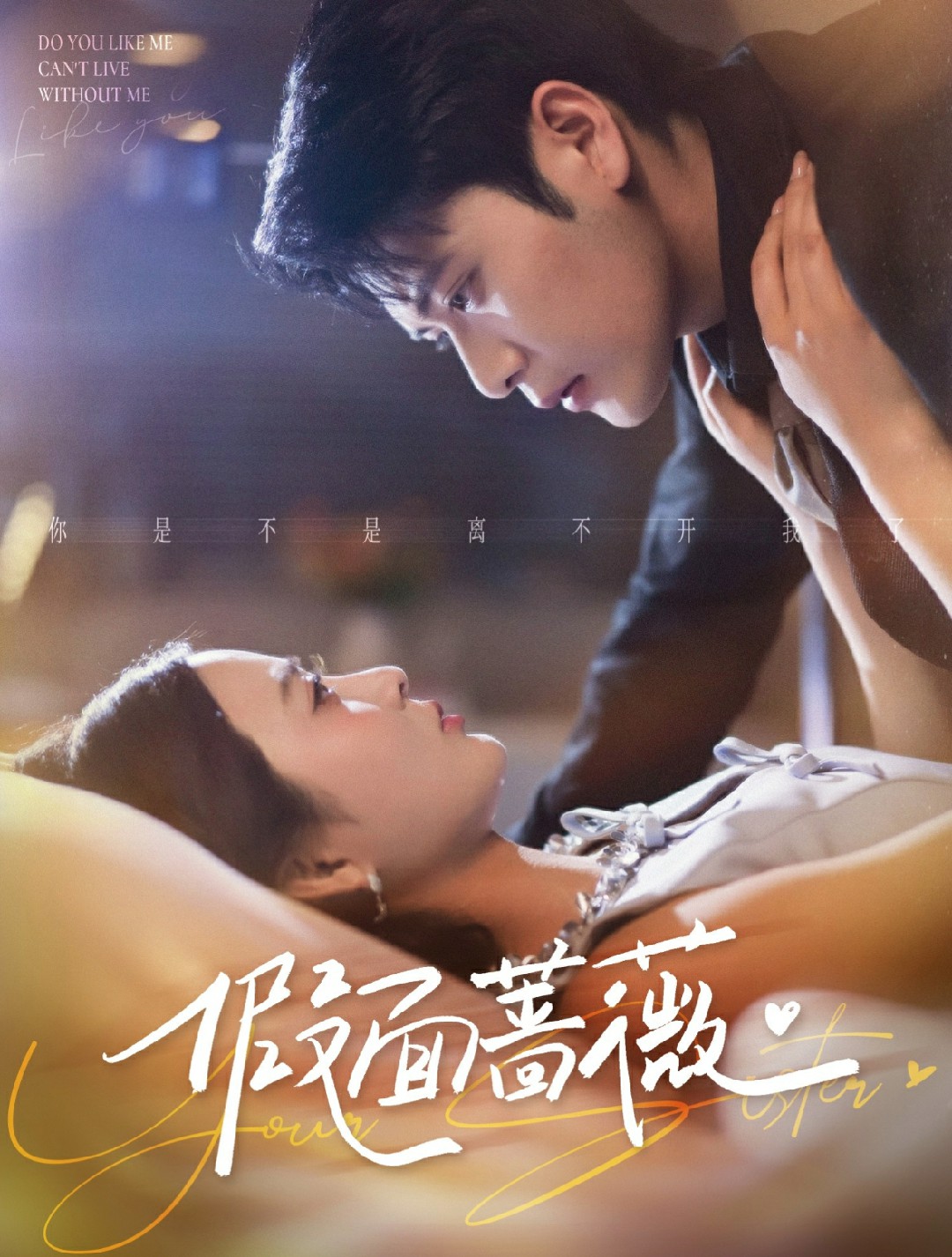 假面蔷薇封面图