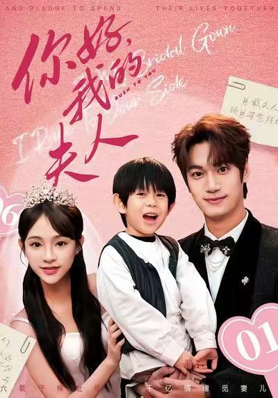 你好我的夫人封面图