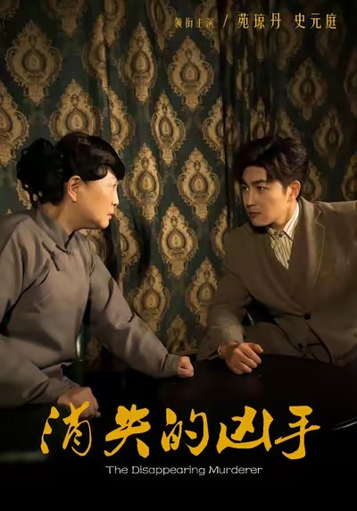 消失的凶手封面图