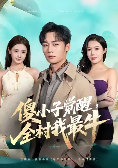 傻小子觉醒全村我最牛封面图