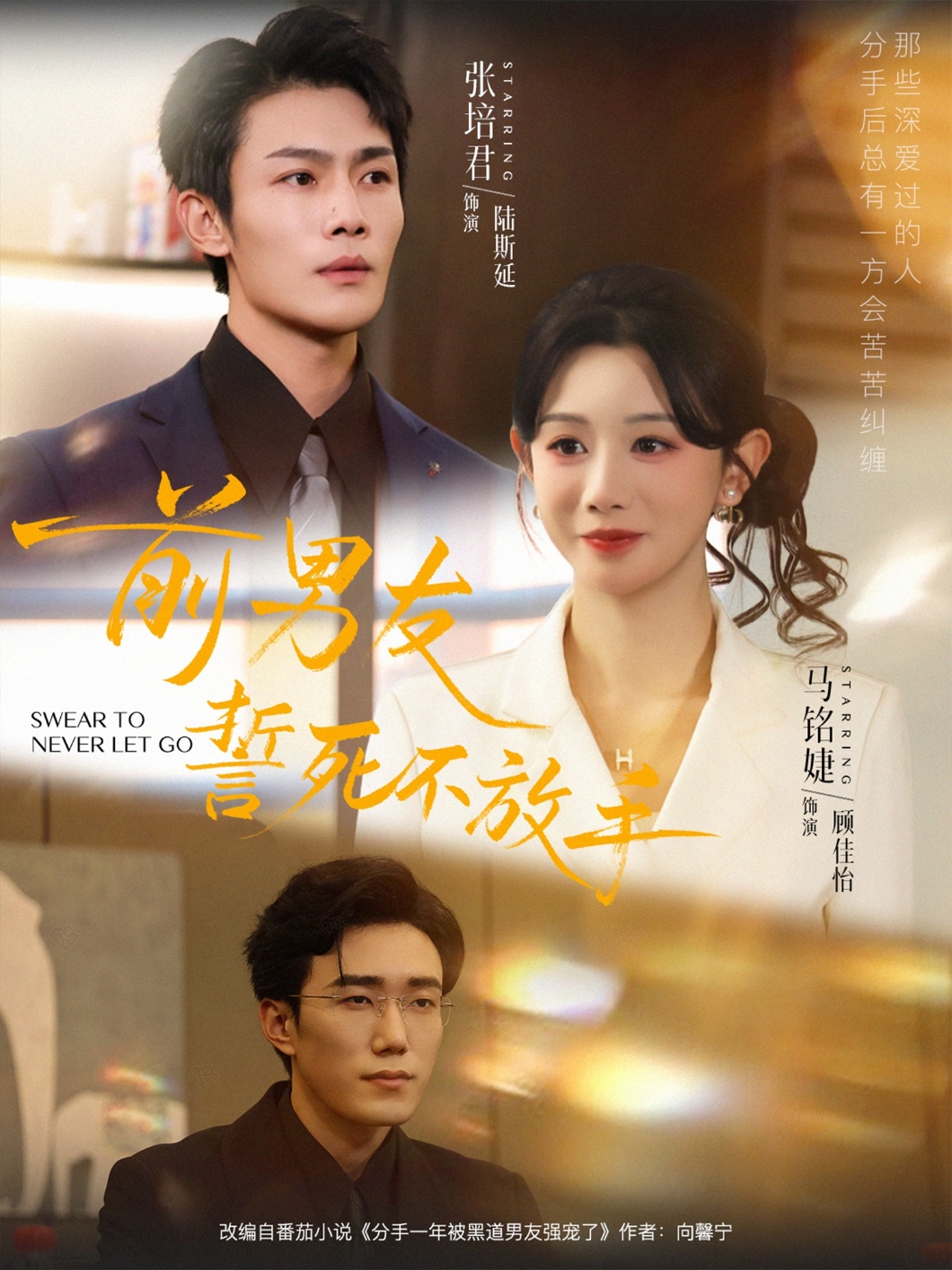 前男友誓死不放手封面图