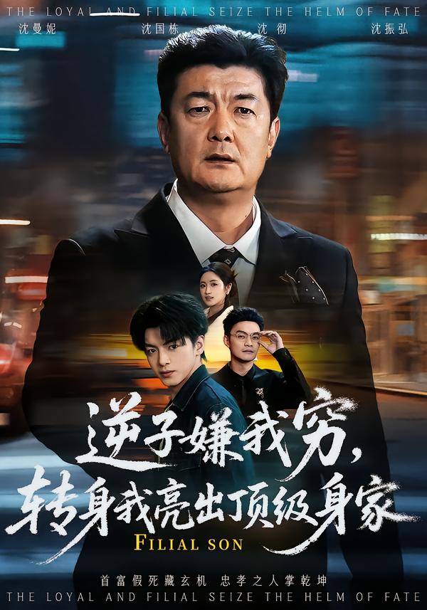 逆子嫌我穷转身我亮出顶级身家封面图