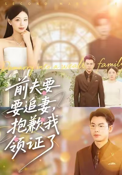 前夫要追妻抱歉我领证了封面图