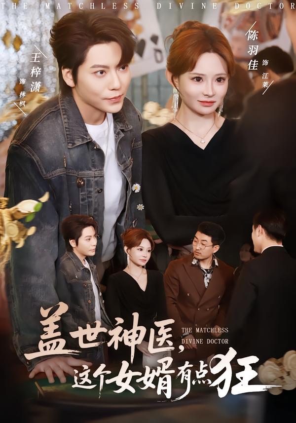 盖世神医这个女婿有点狂封面图