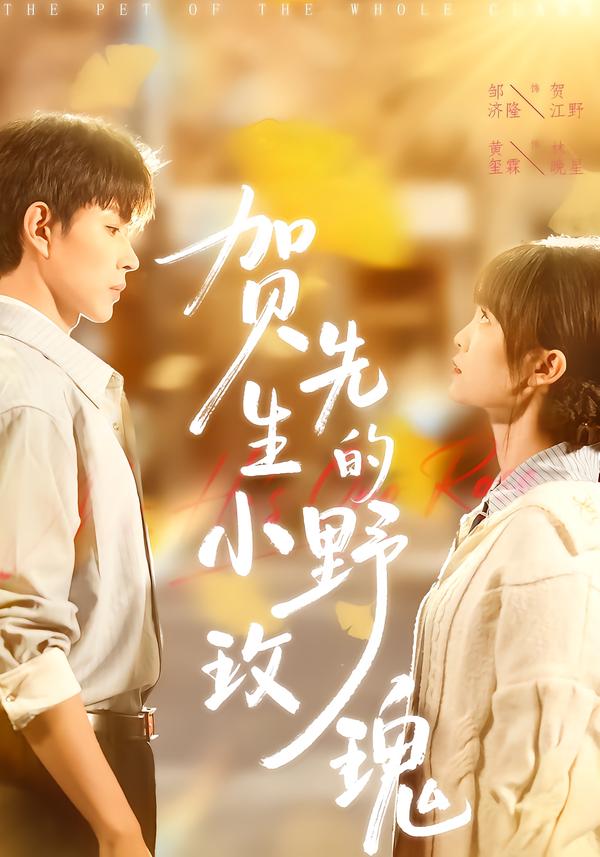 贺先生的小野玫瑰封面图