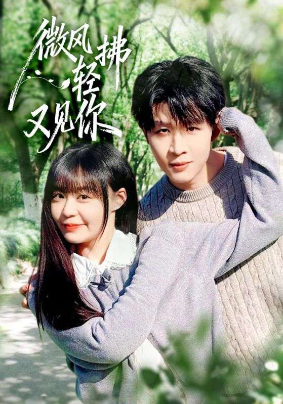 微风轻拂又见你封面图