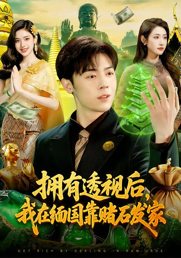 拥有透视后我在缅国靠赌石发家封面图