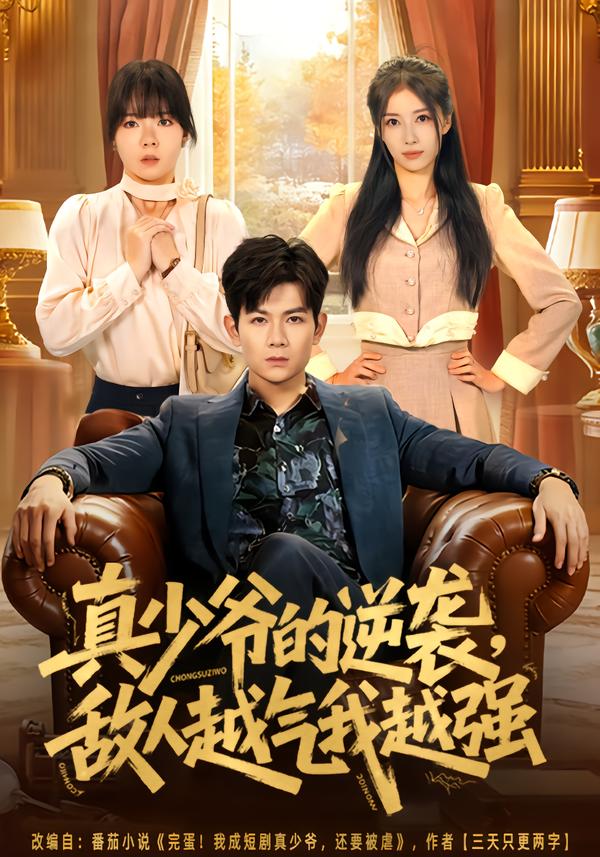 真少爷的逆袭敌人越气我越强封面图