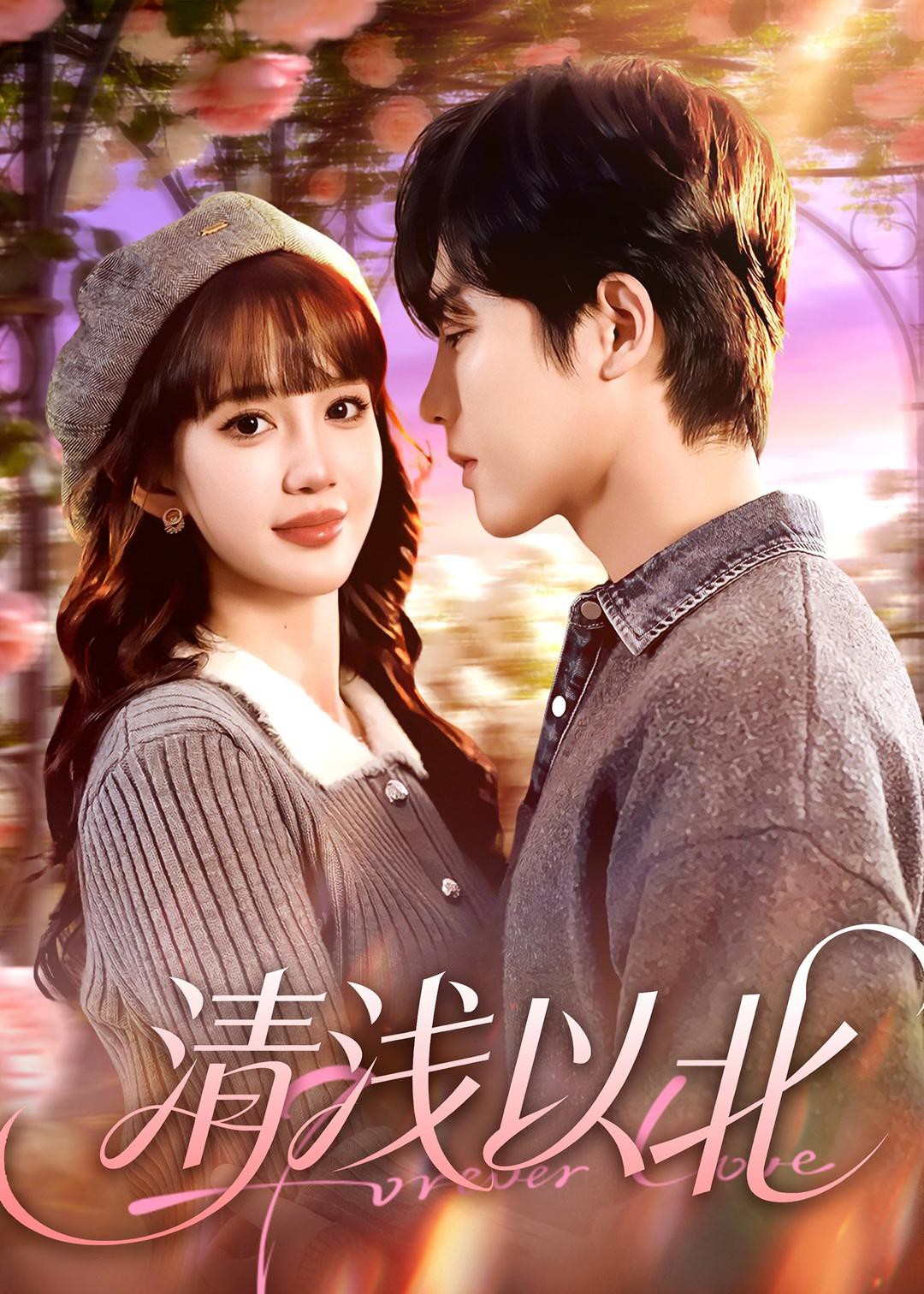 清浅以北封面图