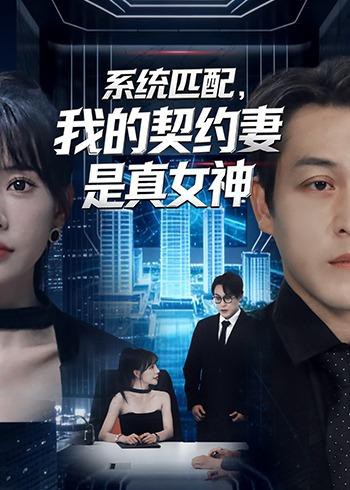 系统匹配我的契约妻是真女神封面图