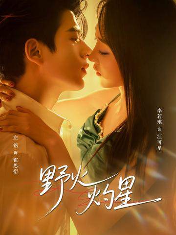 野火灼星封面图