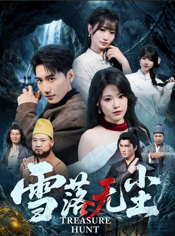 雪落无尘封面图