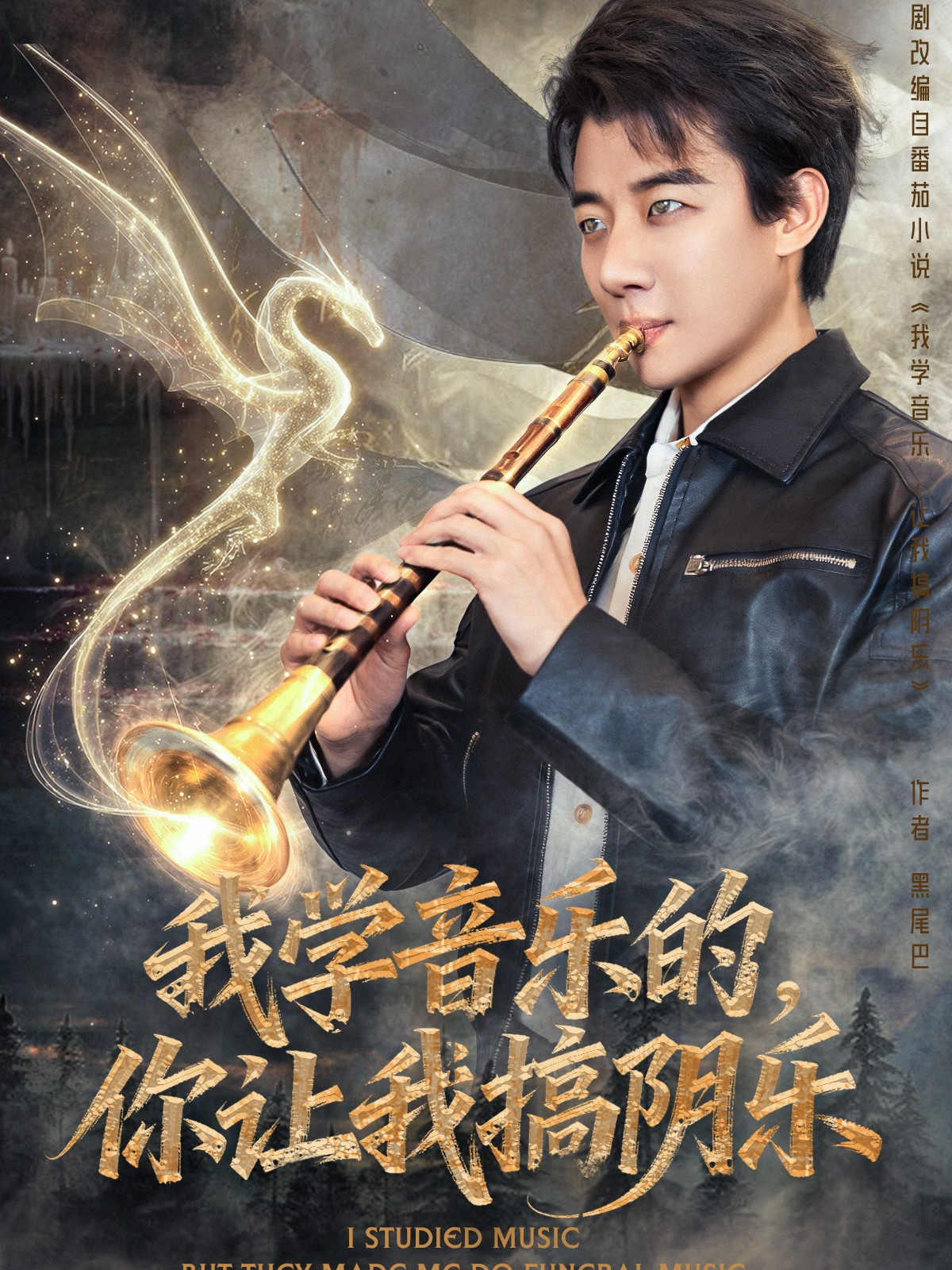 我学音乐的，你让我搞阴乐