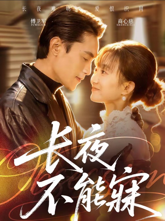 长夜不能寐封面图