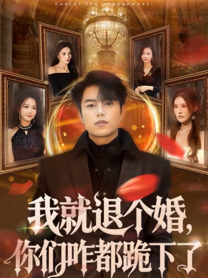 我就退个婚你们咋都跪下了封面图