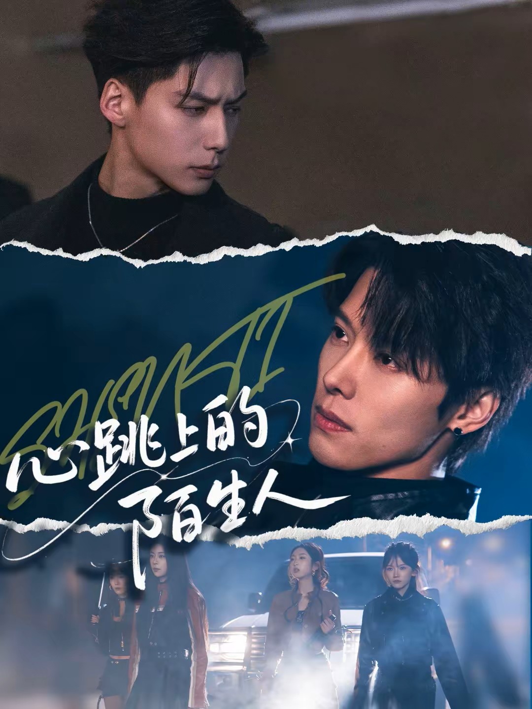 心跳上的陌生人封面图