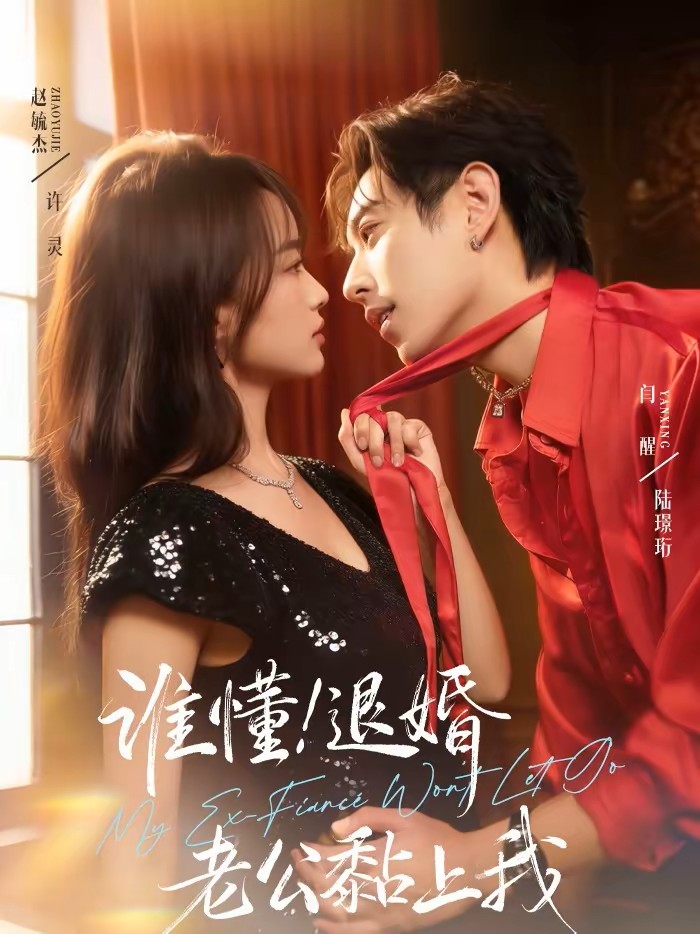 谁懂退婚老公黏上我封面图