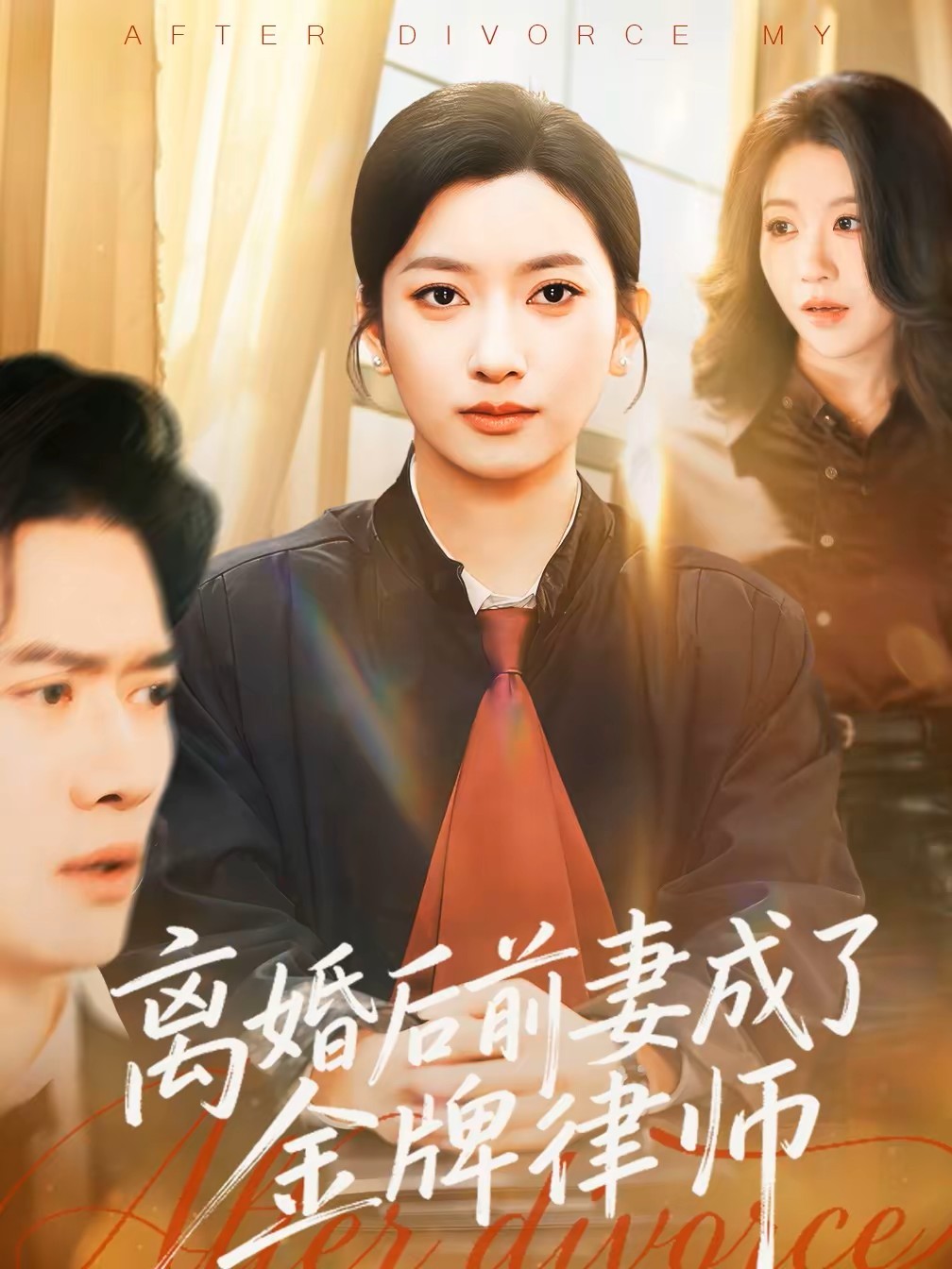 离婚后前妻成了金牌律师封面图