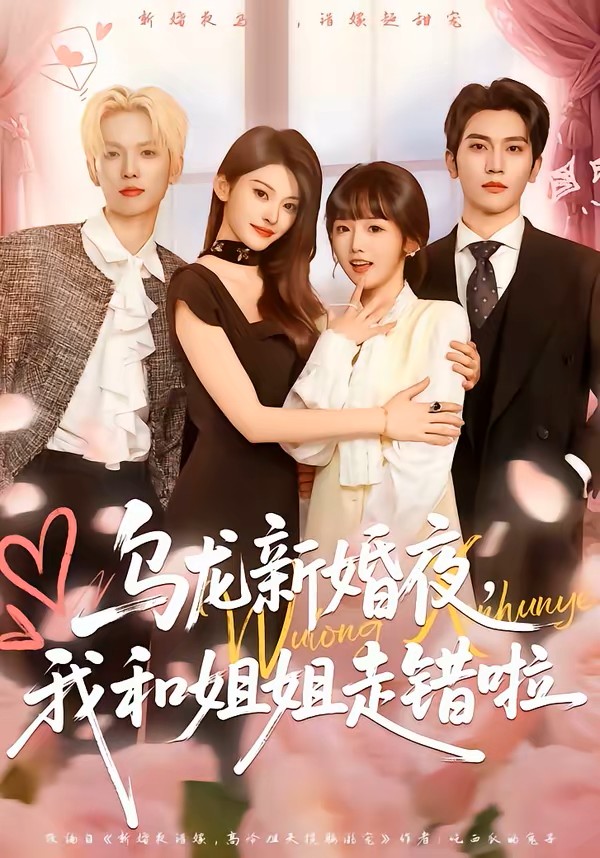 乌龙新婚夜我和姐姐走错啦封面图