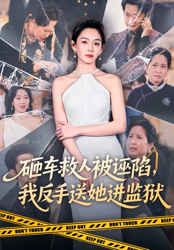 砸车救人被诬陷我反手送她进监狱封面图