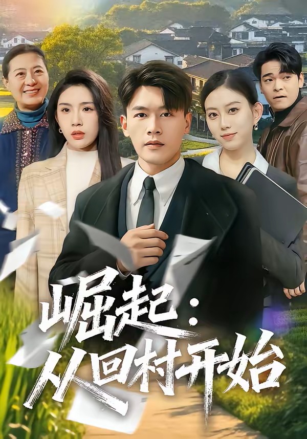 崛起从回村开始封面图