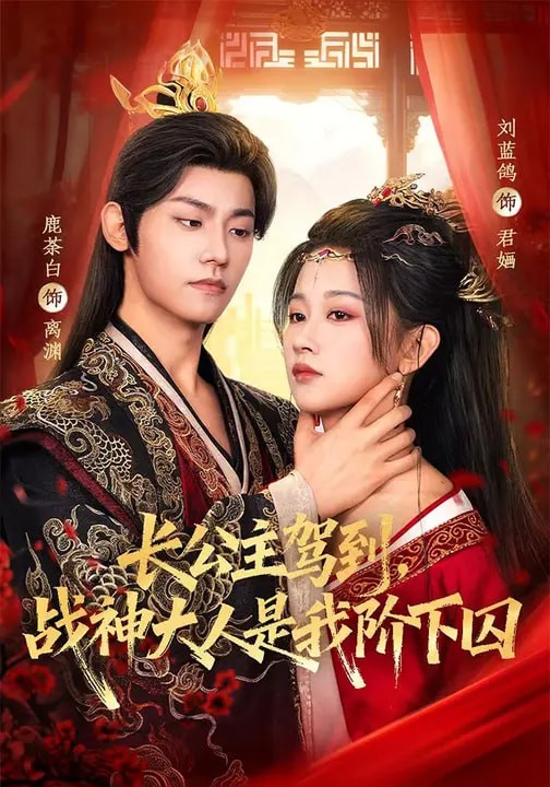 长公主驾到战神大人是我阶下囚封面图