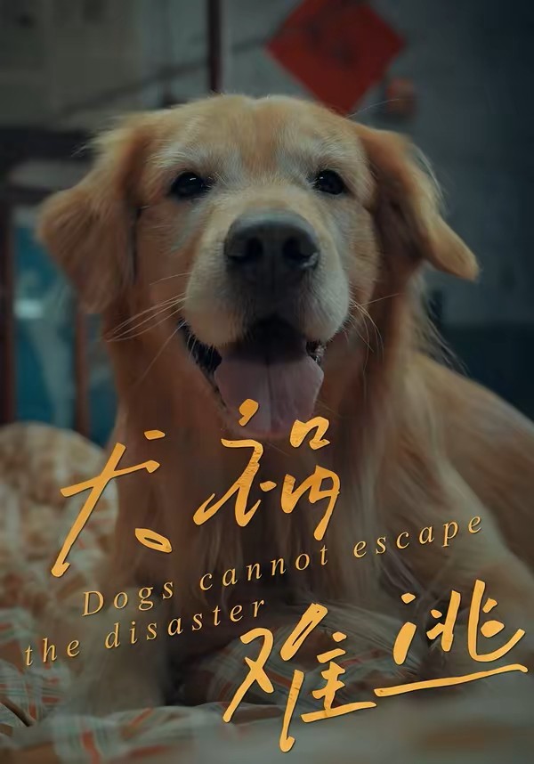 犬祸难逃封面图