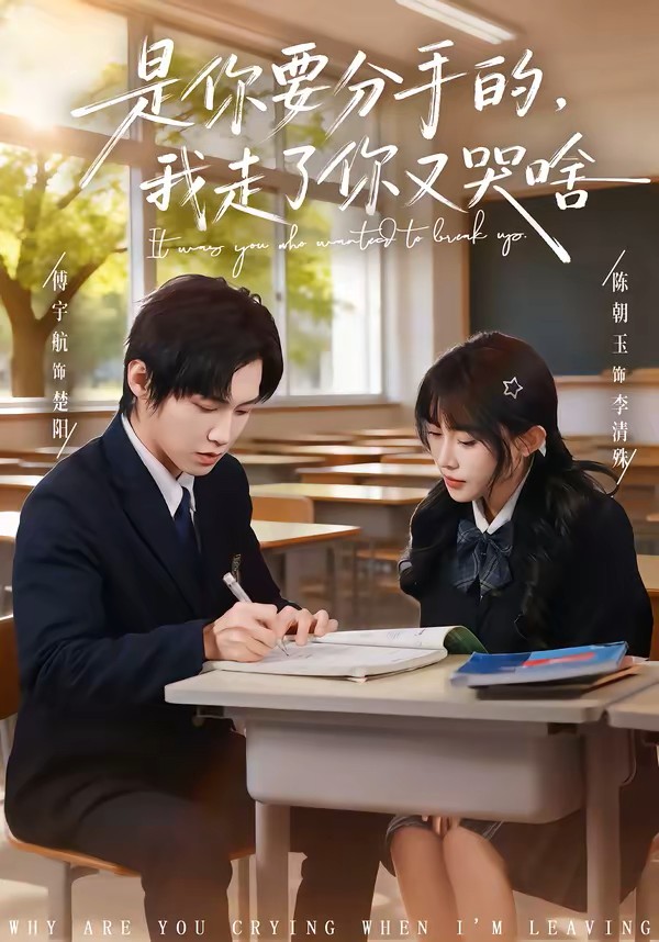 是你要分手的，我走了你又哭啥