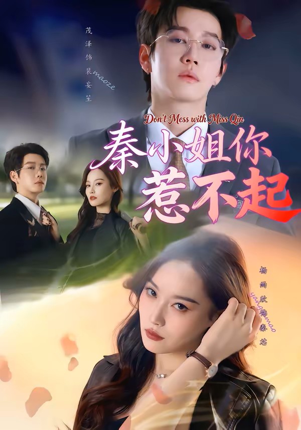 秦小姐你惹不起封面图
