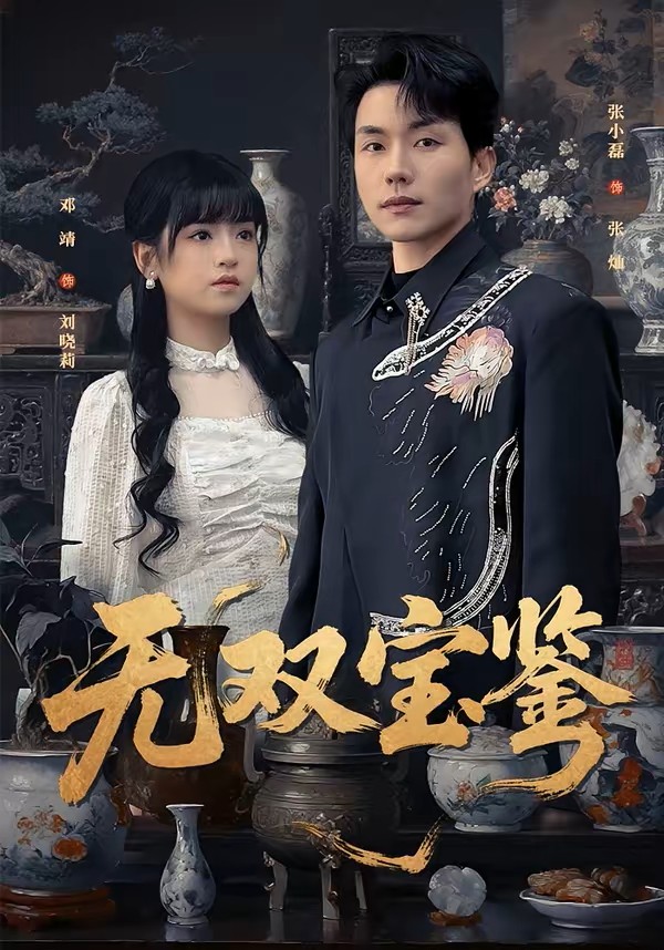 无双宝鉴封面图