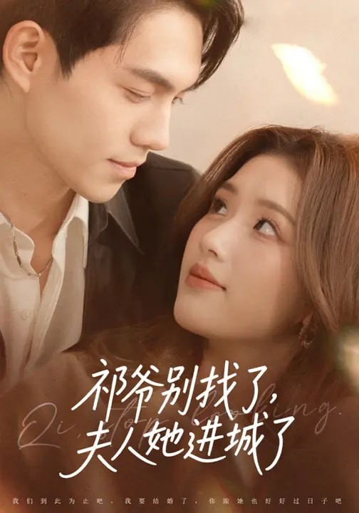 祁爷别找了夫人她进城了封面图