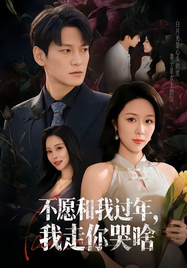 不愿和我过年我走你哭啥封面图