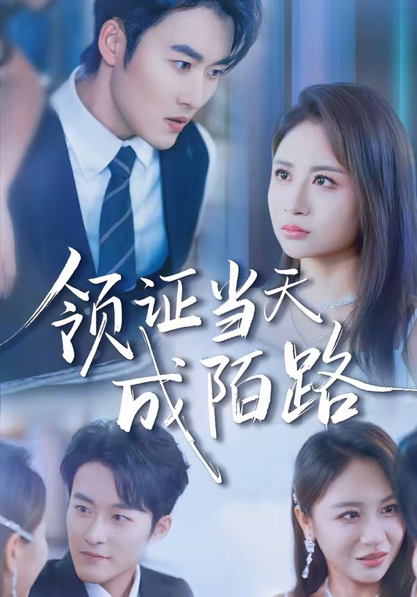 领证当天成陌路