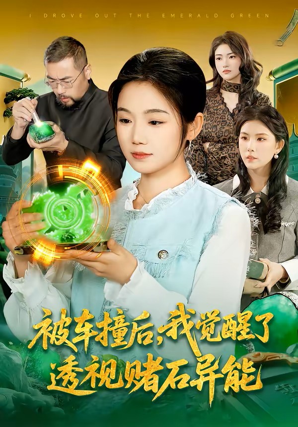 被车撞后，我觉醒了透视赌石异能了