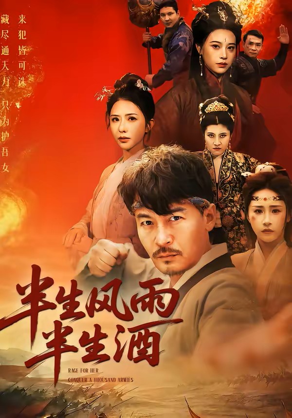 半生风雨半生酒封面图