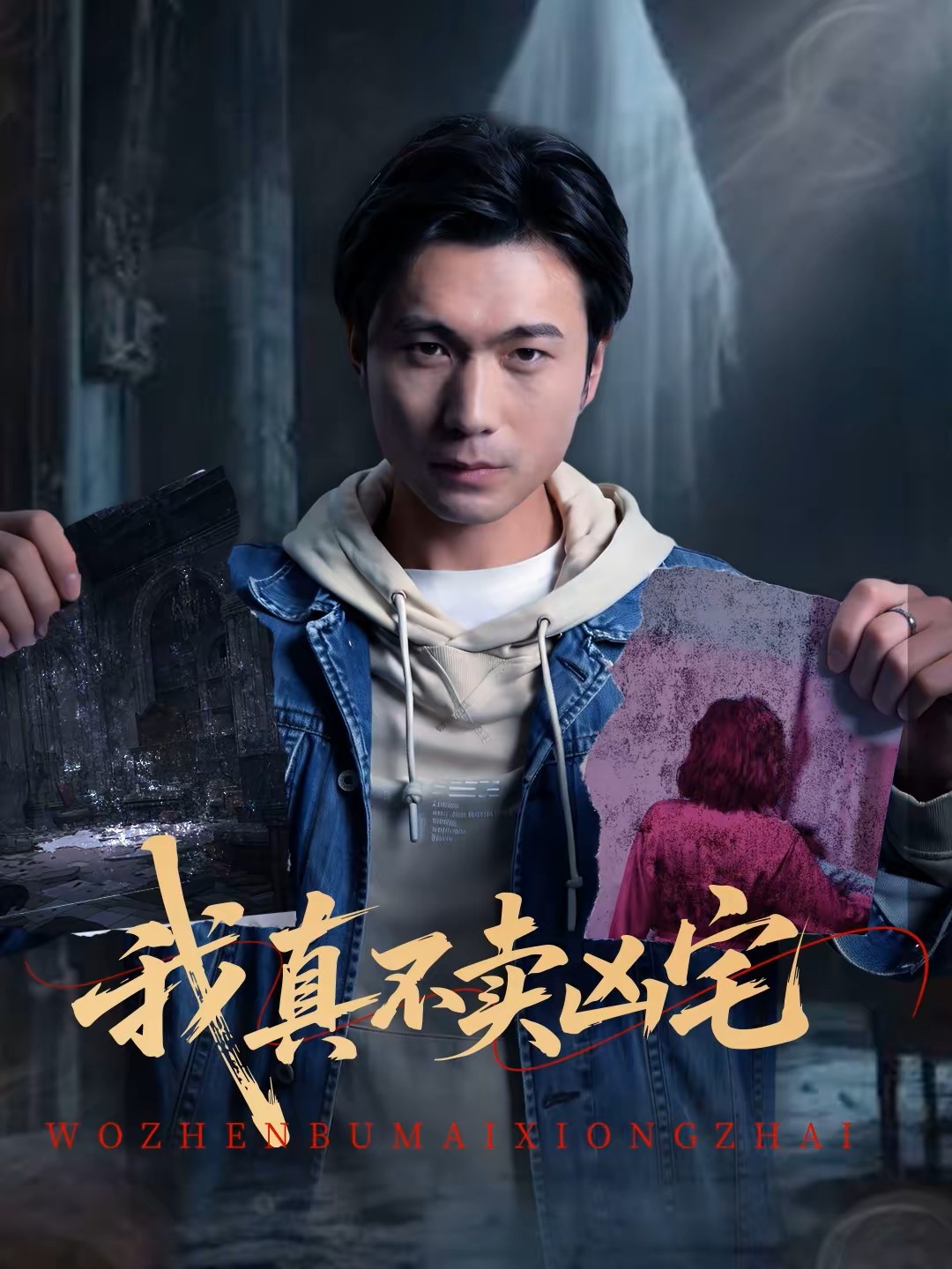 我真不卖凶宅封面图