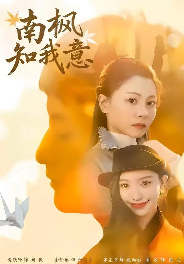 南枫知我意封面图