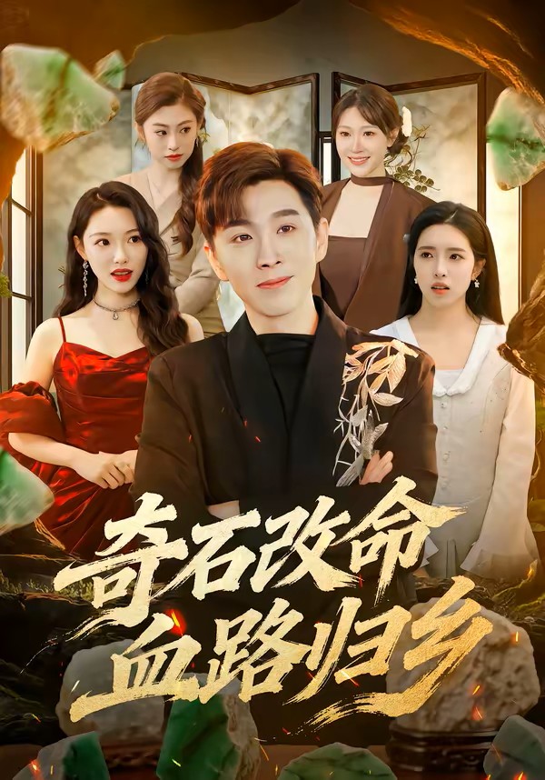 奇石改命血路归乡封面图